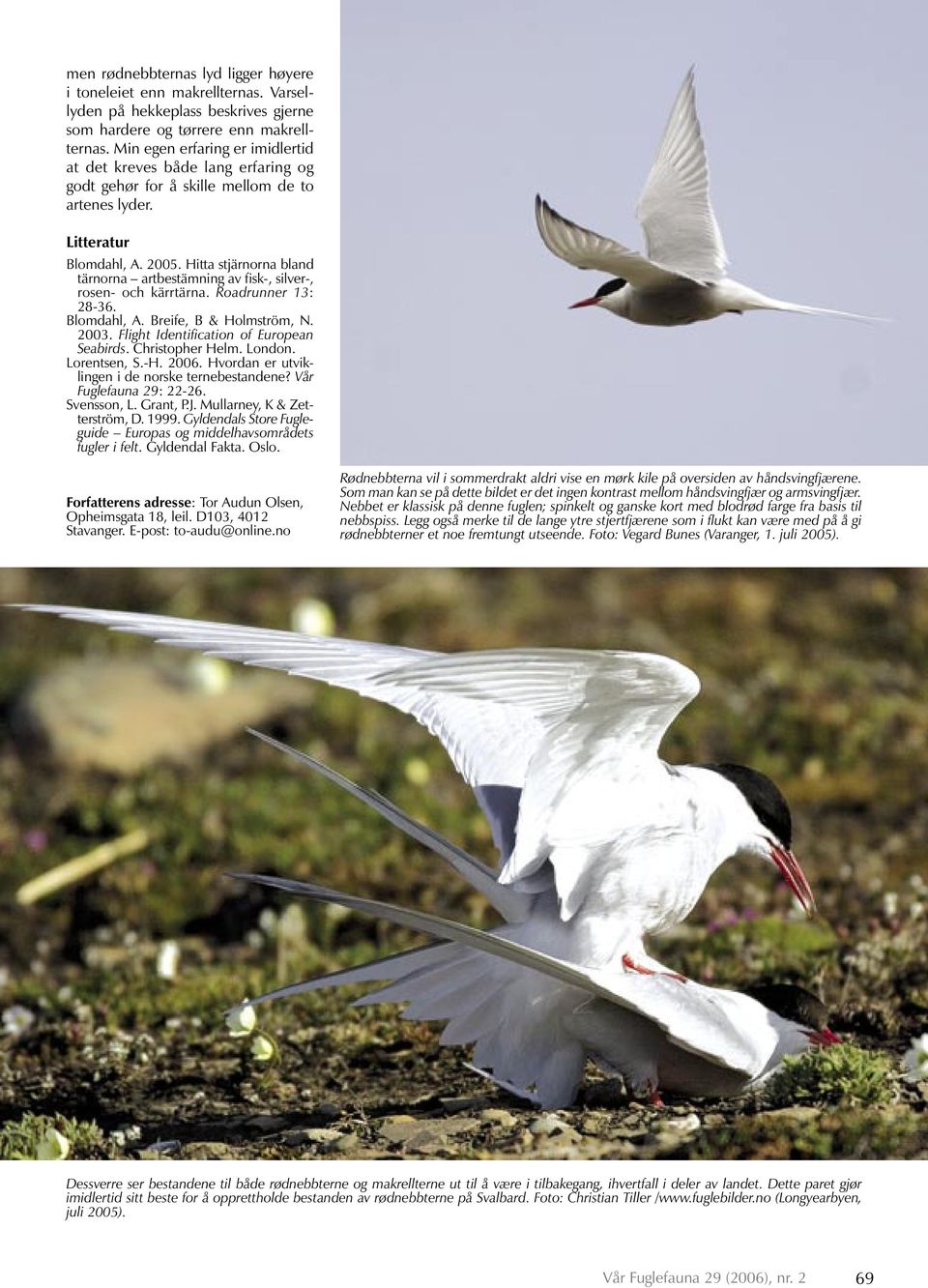 Hitta stjärnorna bland tärnorna artbestämning av fisk-, silver-, rosen- och kärrtärna. Roadrunner 13: 28-36. Blomdahl, A. Breife, B & Holmström, N. 2003. Flight Identification of European Seabirds.