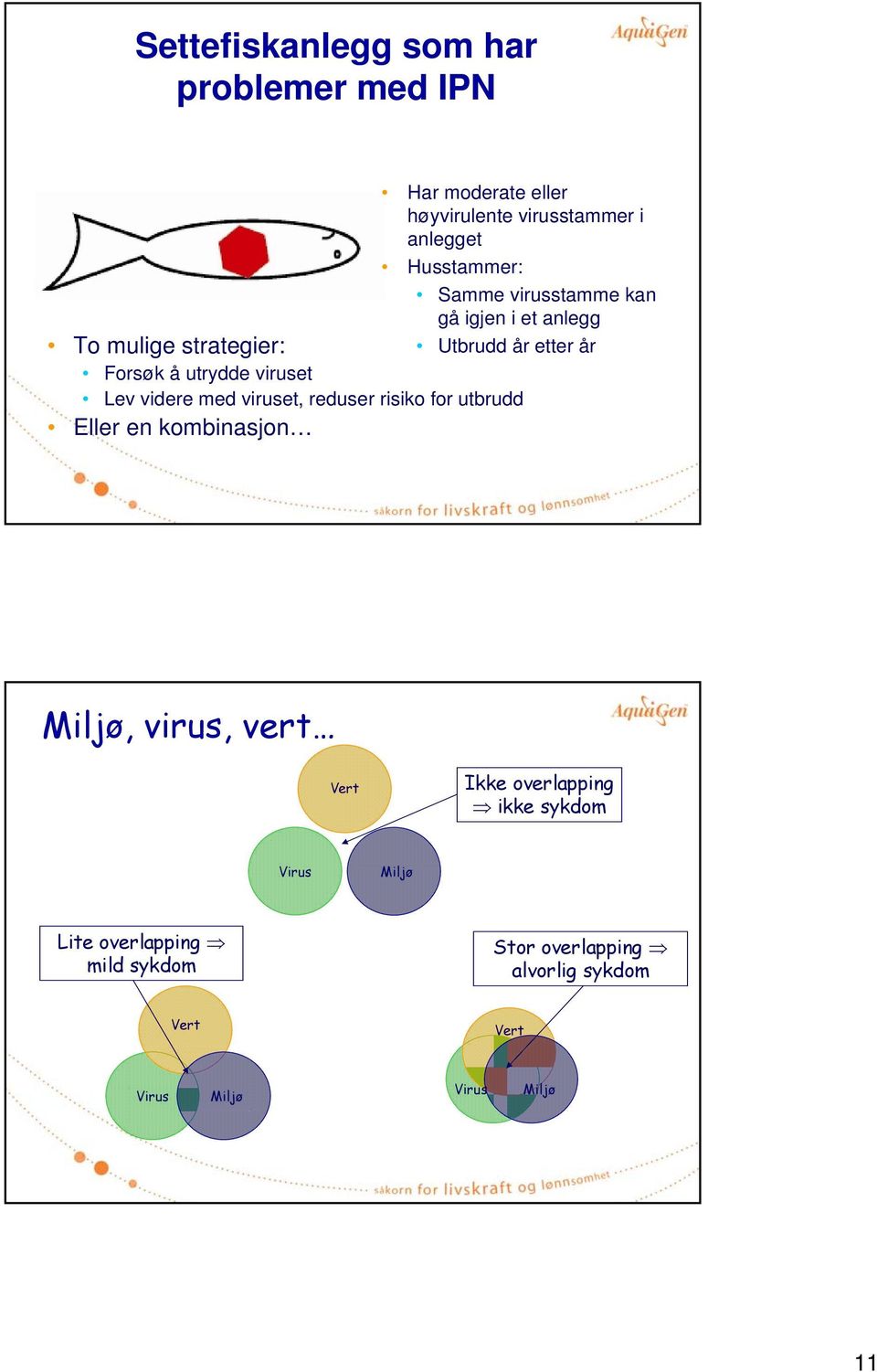 videre med viruset, reduser risiko for utbrudd Eller en kombinasjon Miljø, virus, vert Vert Ikke overlapping ikke