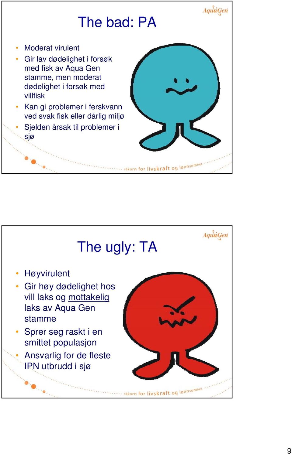 Sjelden årsak til problemer i sjø The ugly: TA Høyvirulent Gir høy dødelighet hos vill laks og