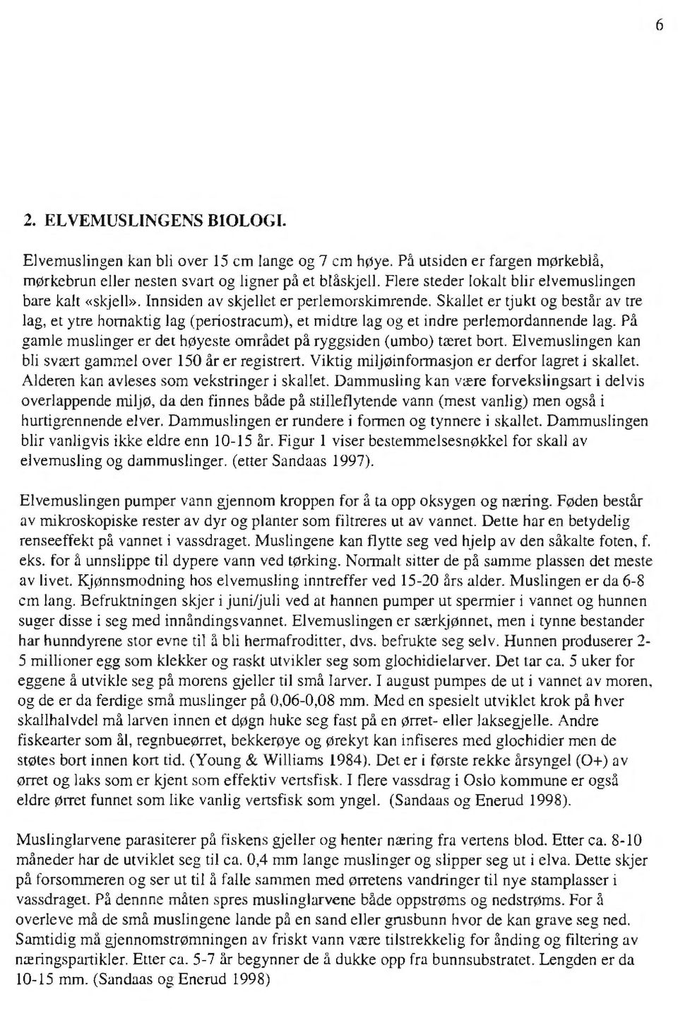 Skallet er tjukt og består av tre lag, et ytre hornaktig lag (periostracum), et midtre lag og et indre perlemordannende lag. På gamle muslinger er det høyeste området på ryggsiden (umbo) tæret bort.