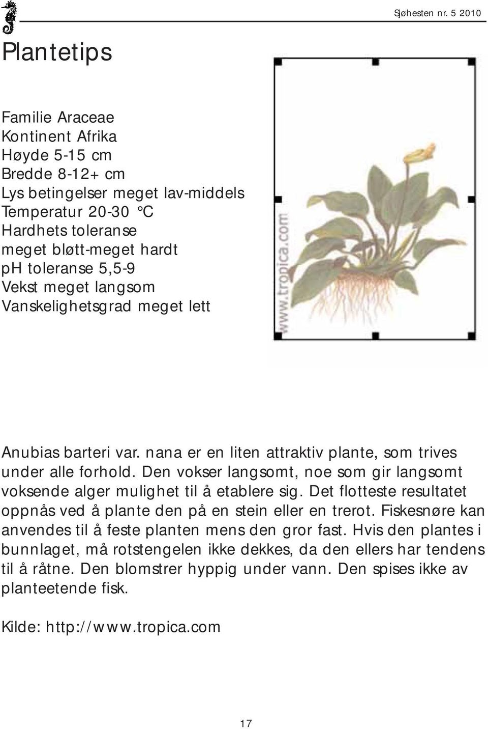 5,5-9 Vekst meget langsom Vanskelighetsgrad meget lett Anubias barteri var. nana er en liten attraktiv plante, som trives under alle forhold.