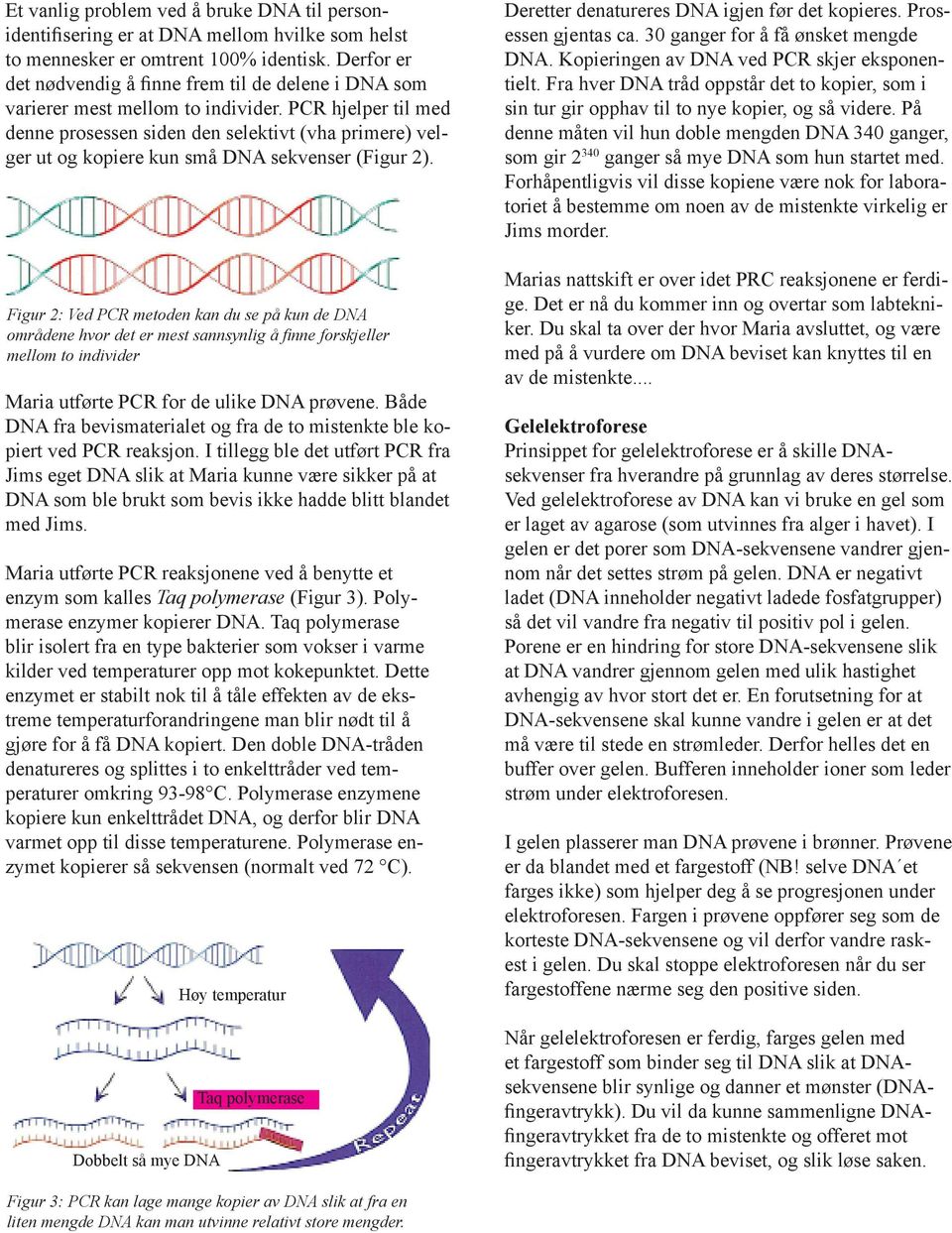PCR hjelper til med denne prosessen siden den selektivt (vha primere) velger ut og kopiere kun små DNA sekvenser (Figur 2).