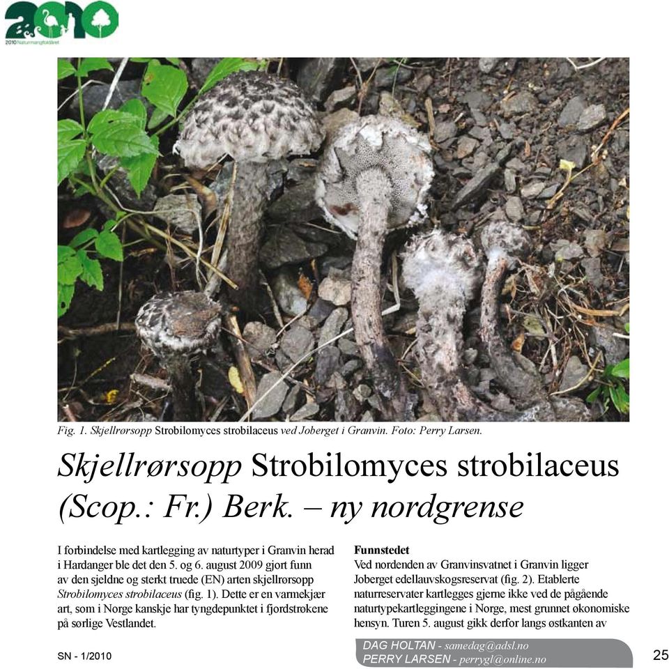 august 2009 gjort funn av den sjeldne og sterkt truede (EN) arten skjellrørsopp Strobilomyces strobilaceus (fig. 1).