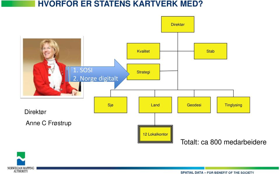 Norge digitalt Strategi Direktør Anne C