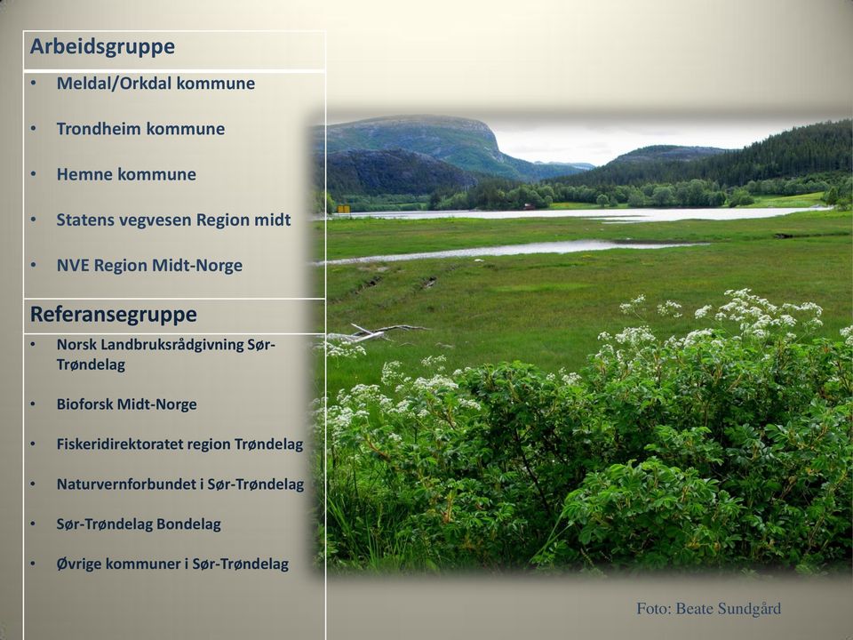Trøndelag Bioforsk Midt-Norge Fiskeridirektoratet region Trøndelag Naturvernforbundet