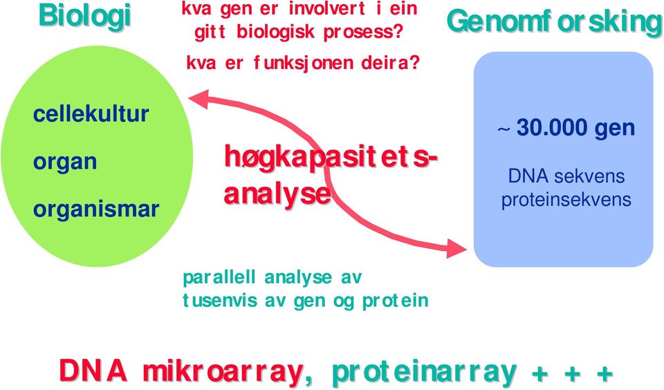 Genomforsking cellekultur organ organismar høgkapasitets- analyse