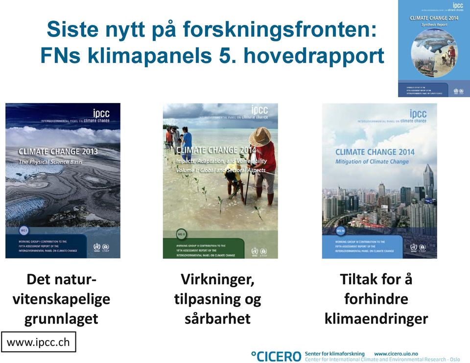 hovedrapport Det naturvitenskapelige