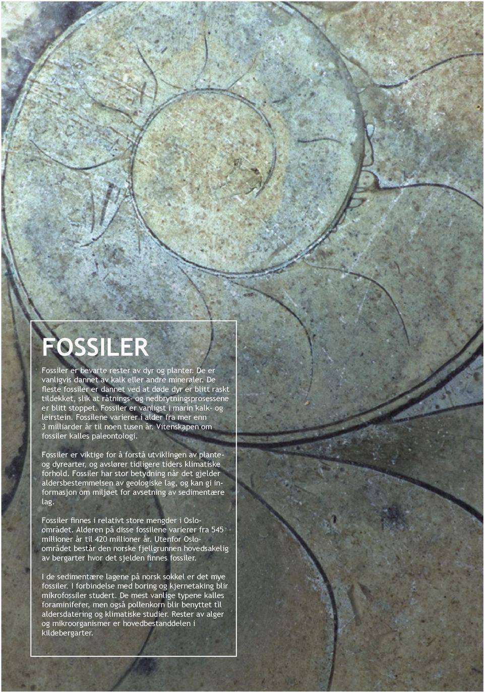 Fossilene varierer i alder fra mer enn 3 milliarder år til noen tusen år. Vitenskapen om fossiler kalles paleontologi.