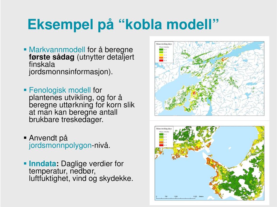 Fenologisk modell for plantenes utvikling, og for å beregne uttørkning for korn slik at man