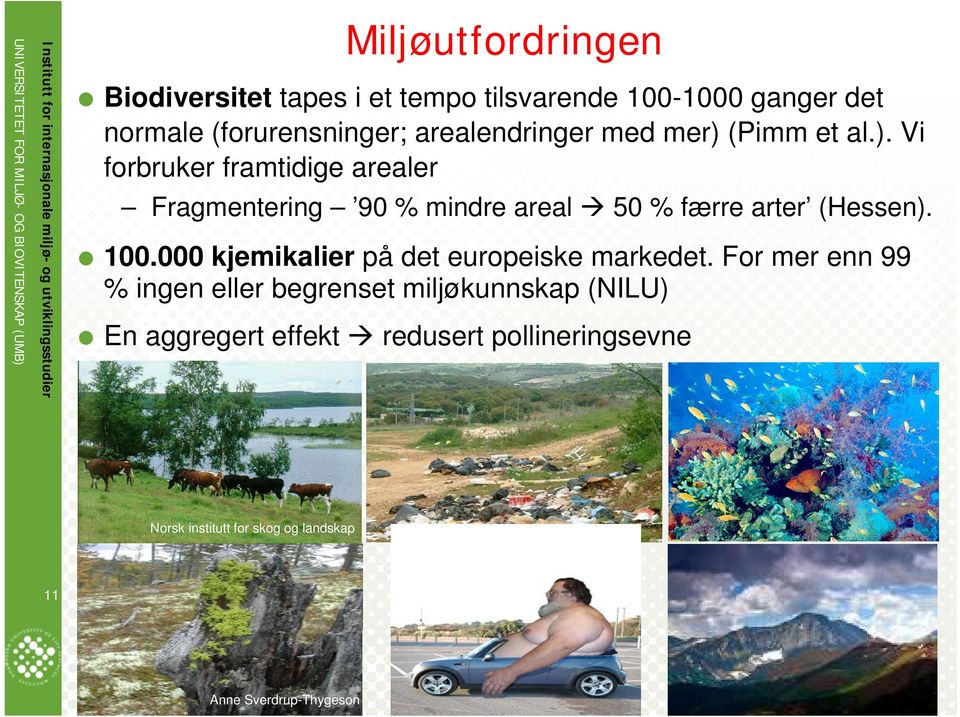 (Pimm et al.). Vi forbruker framtidige arealer Fragmentering 90 % mindre areal 50 % færre arter (Hessen). 100.