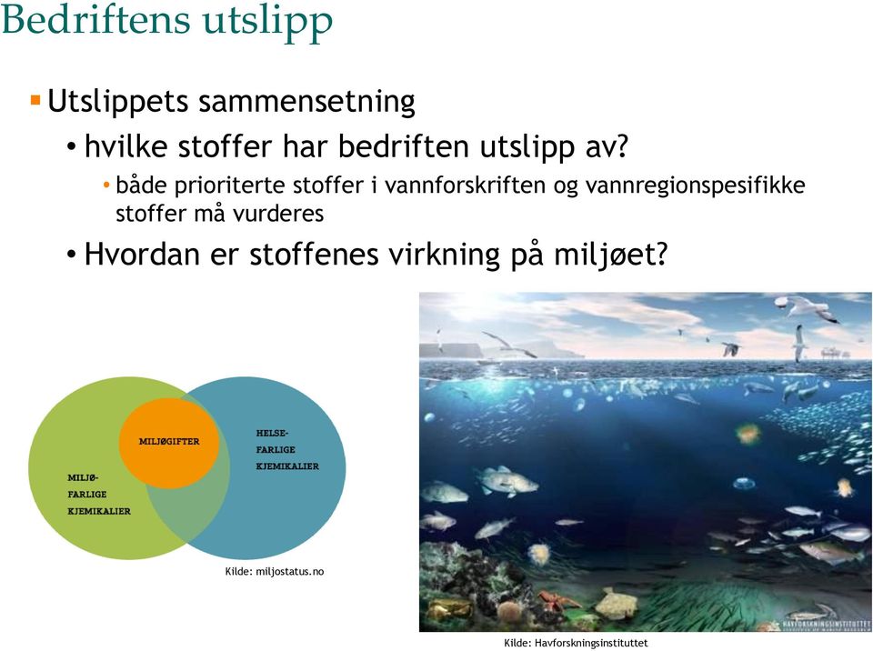 både prioriterte stoffer i vannforskriften og vannregionspesifikke