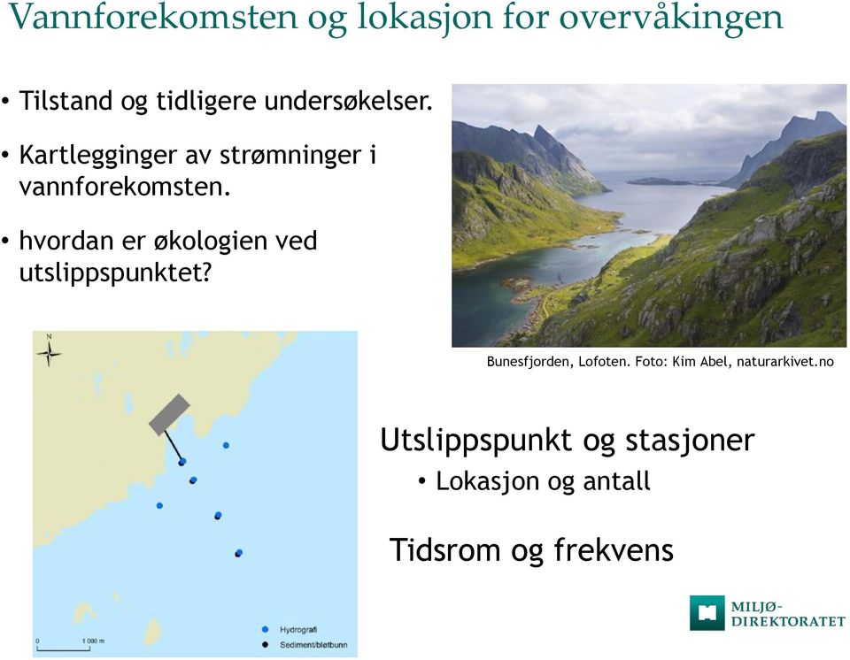 hvordan er økologien ved utslippspunktet? Bunesfjorden, Lofoten.