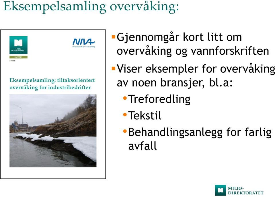 for overvåking av noen bransjer, bl.