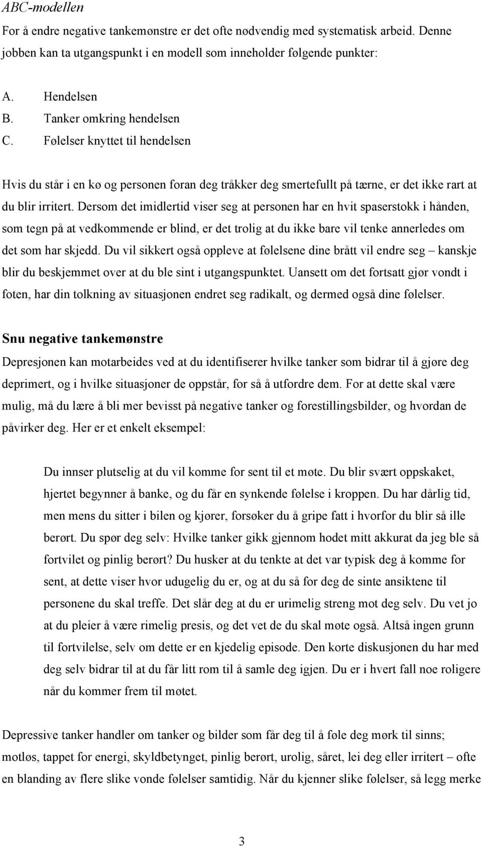 Dersom det imidlertid viser seg at personen har en hvit spaserstokk i hånden, som tegn på at vedkommende er blind, er det trolig at du ikke bare vil tenke annerledes om det som har skjedd.