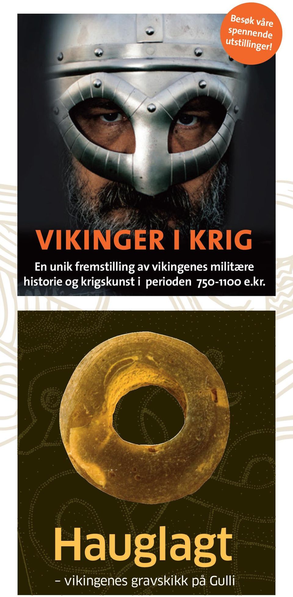 vikingenes militære historie og krigskunst i