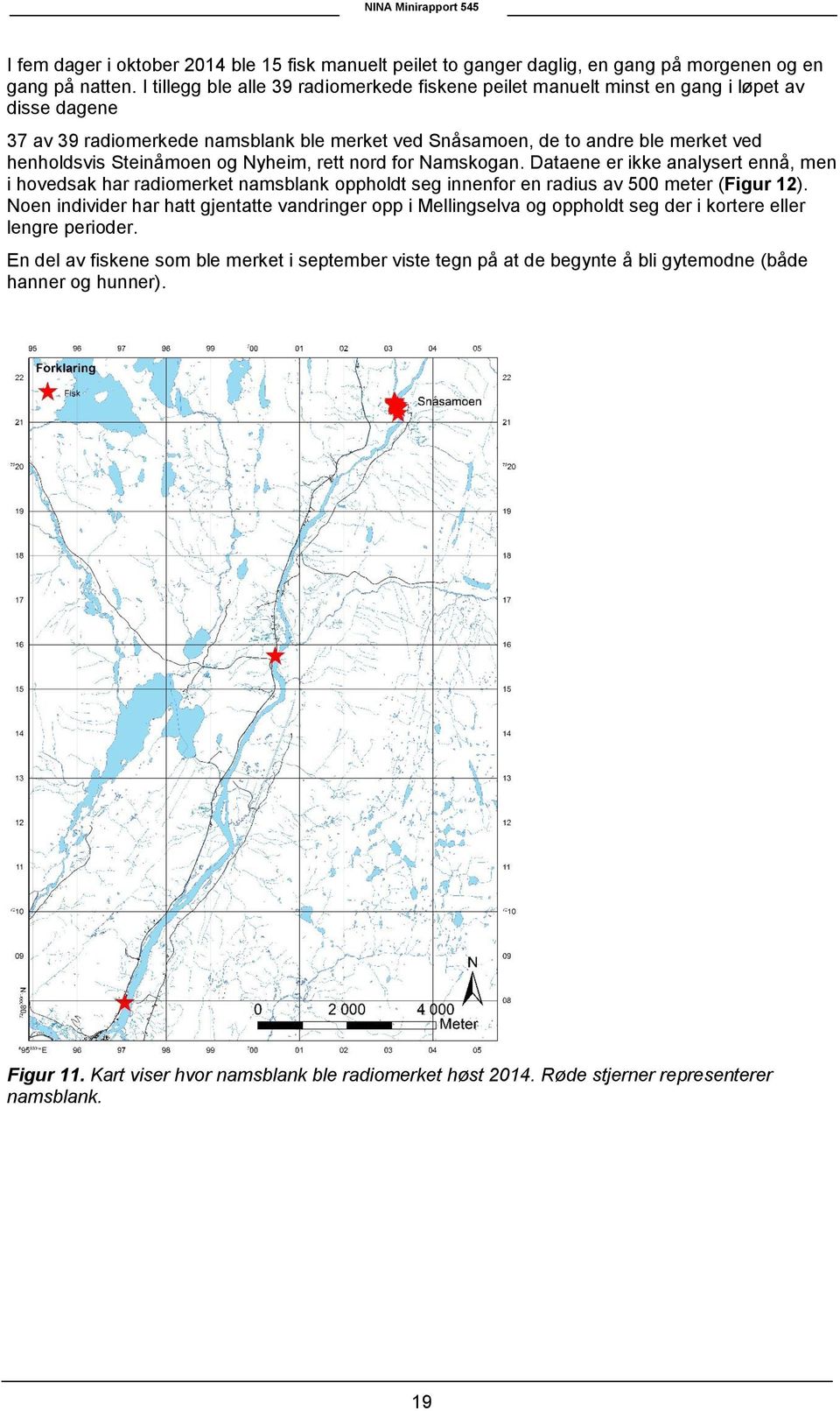 Steinåmoen og Nyheim, rett nord for Namskogan. Dataene er ikke analysert ennå, men i hovedsak har radiomerket namsblank oppholdt seg innenfor en radius av 500 meter (Figur 12).