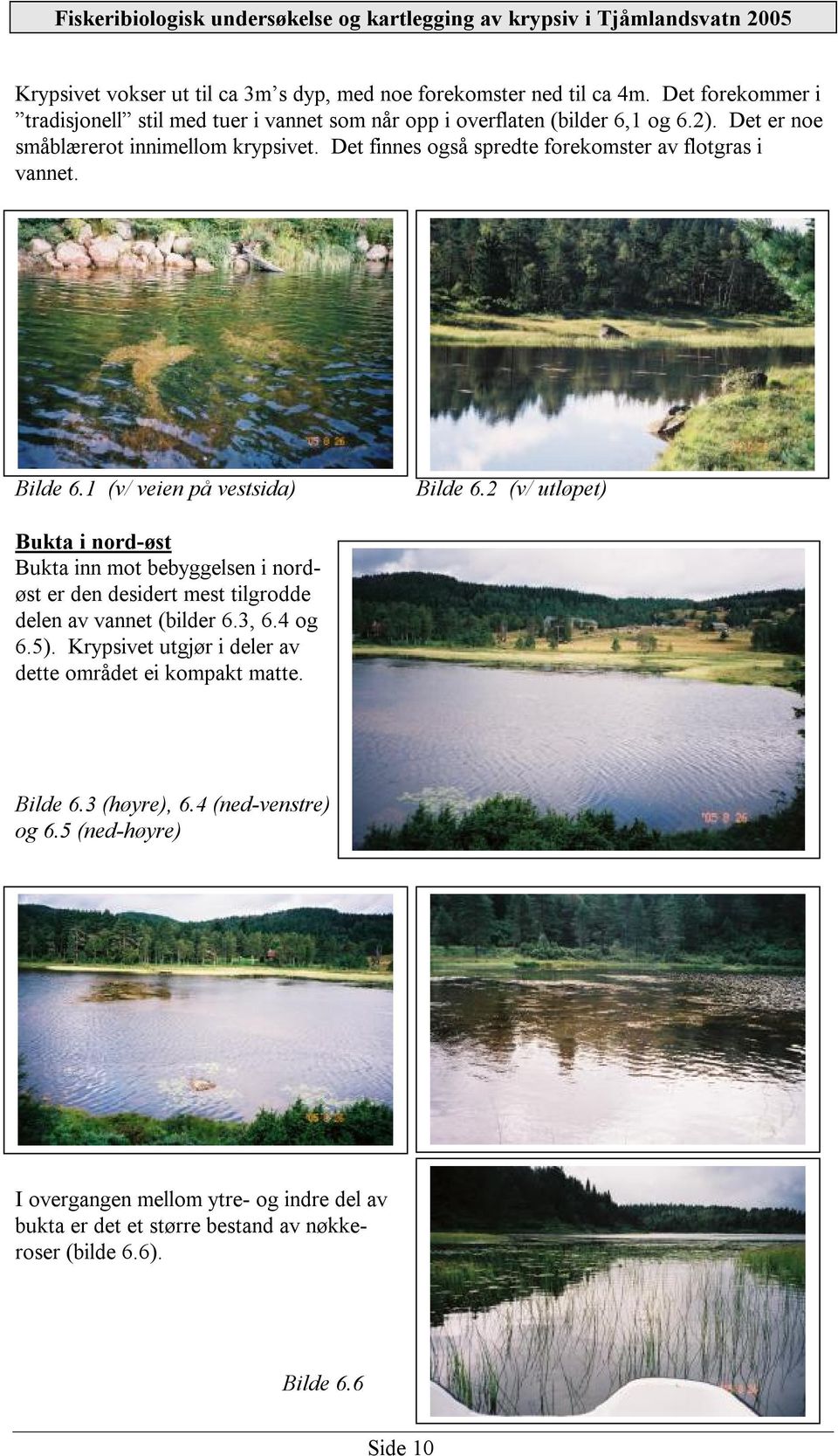 2 (v/ utløpet) Bukta i nord-øst Bukta inn mot bebyggelsen i nordøst er den desidert mest tilgrodde delen av vannet (bilder 6.3, 6.4 og 6.5).