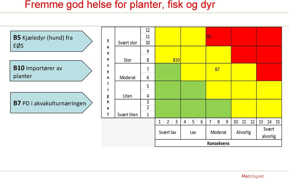 Stor Modrat Lit Svært lit 12 11 B5 10 9 8 B10 7 B7 6 5 2 1 1 2 5 6