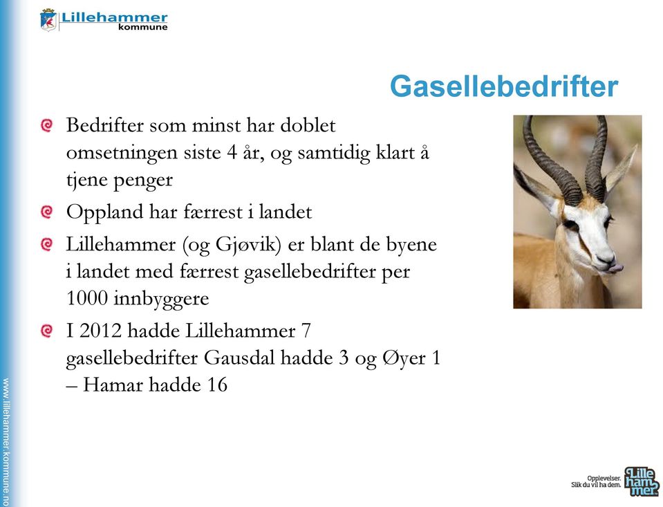 byene i landet med færrest gasellebedrifter per 1000 innbyggere I 2012 hadde