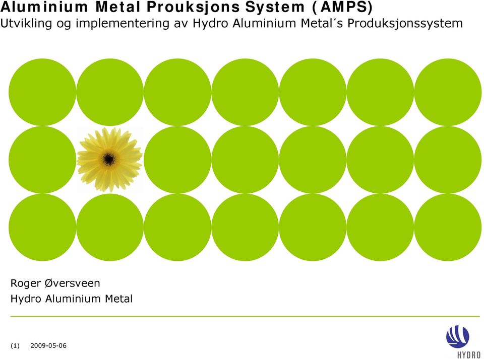 Aluminium Metal s Produksjonssystem Roger