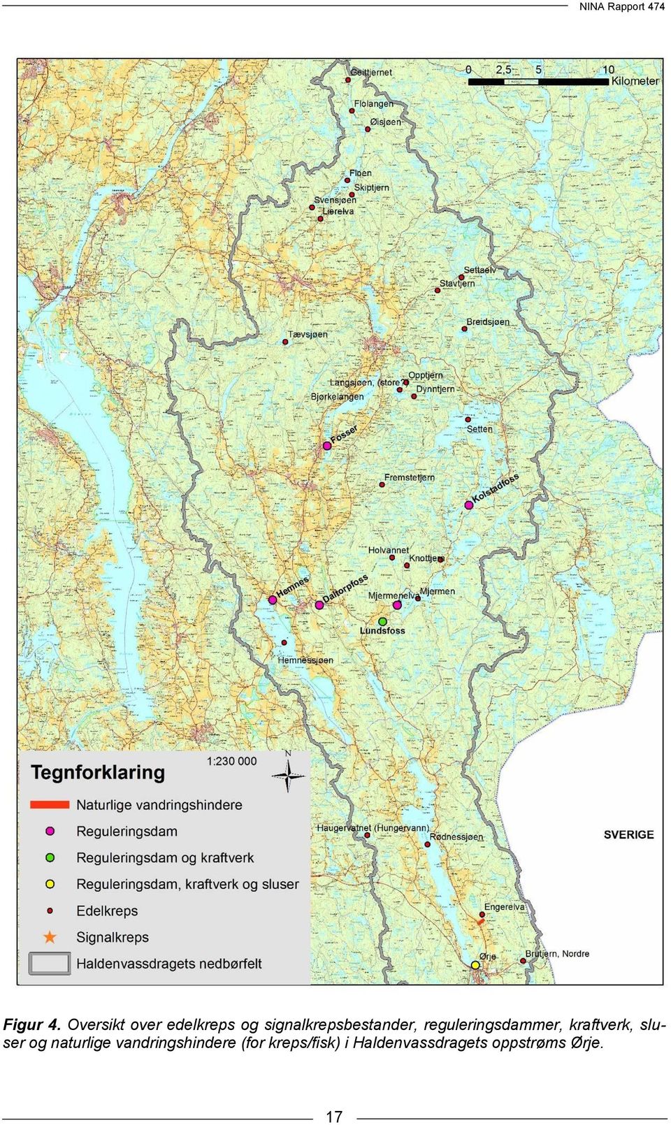 signalkrepsbestander, reguleringsdammer,