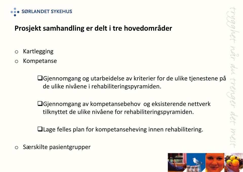 Gjennomgang av kompetansebehov og eksisterende nettverk tilknyttet de ulike nivåene for