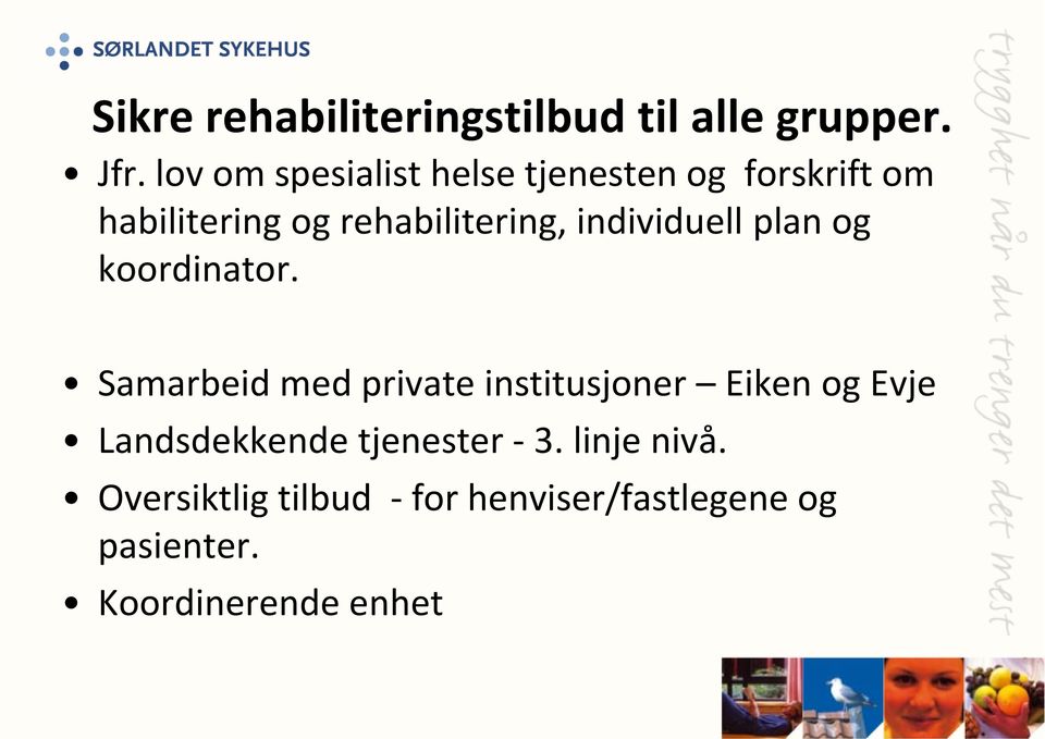 individuell plan og koordinator.