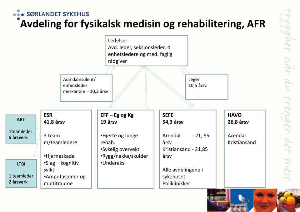 ART ESR 41,8 årsv EFF Eg og Kg 19 årsv SEFE 54,3 årsv HAVO 26,8 årsv 1teamleder 5 årsverk LTBI 1 teamleder 2 årsverk 3 team m/teamledere