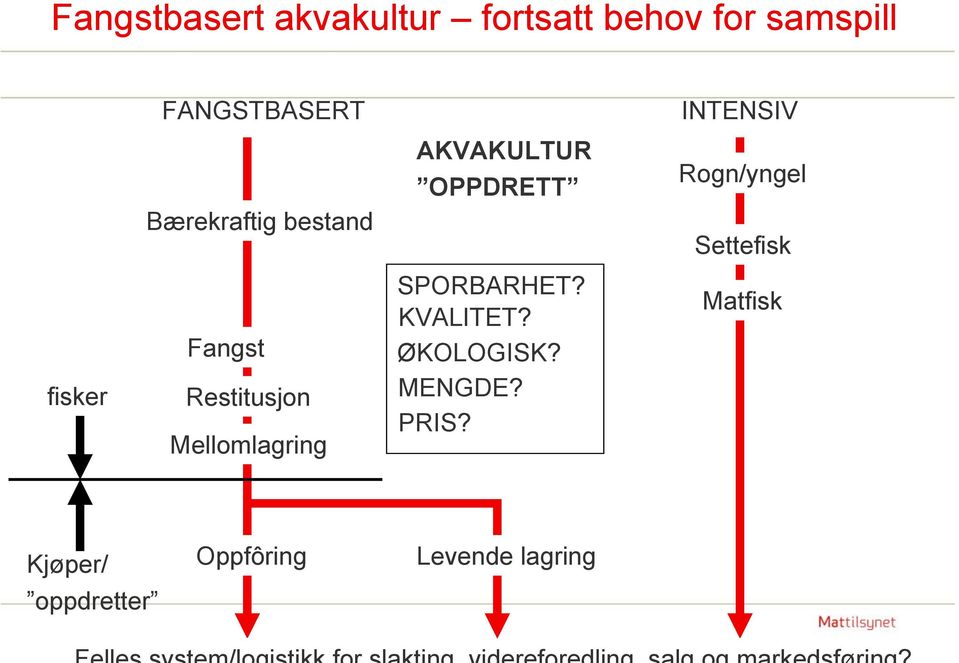 Settefisk fisker Fangst Restitusjon Mellomlagring SPORBARHET?