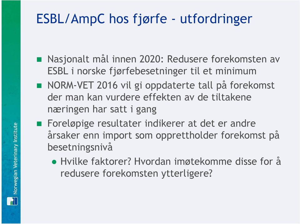 av de tiltakene næringen har satt i gang Foreløpige resultater indikerer at det er andre årsaker enn import som