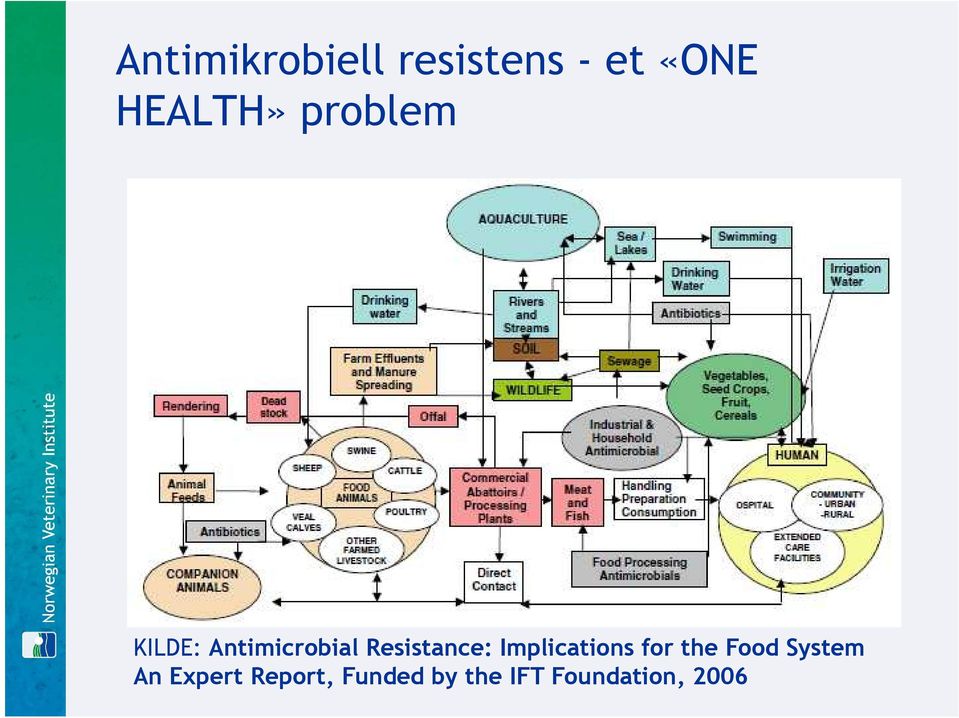 Implications for the Food System An Expert