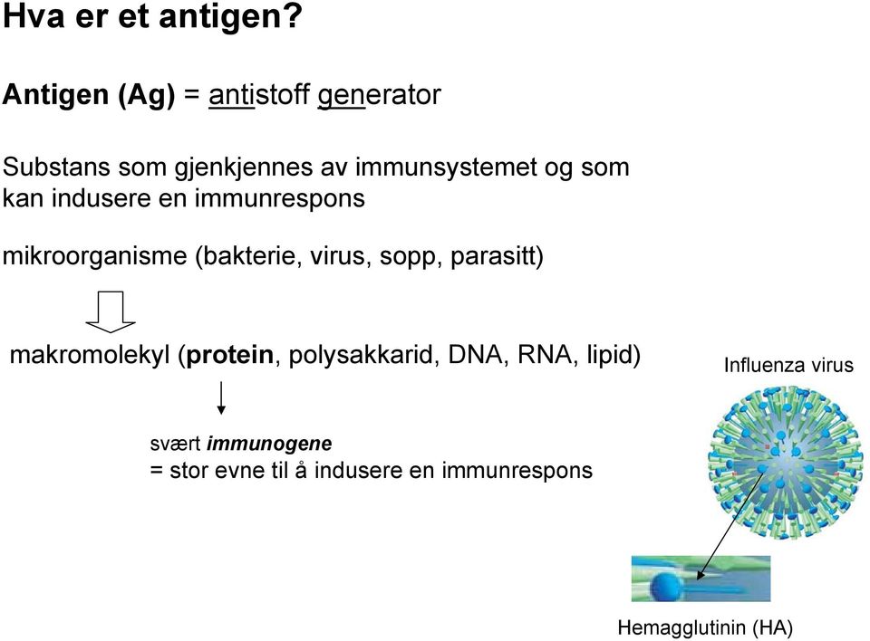 som kan indusere en immunrespons mikroorganisme (bakterie, virus, sopp, parasitt)