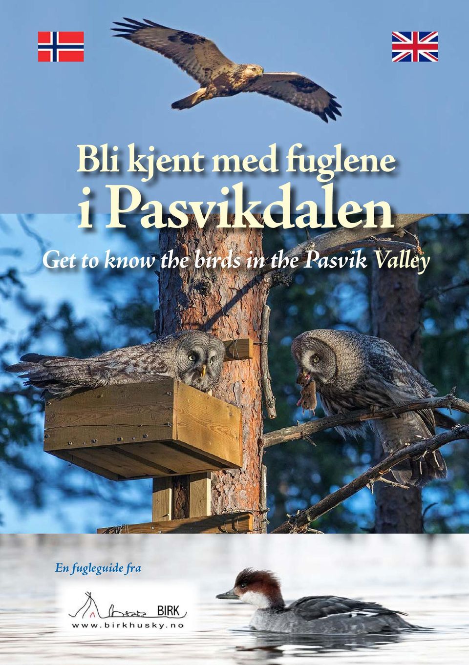 the birds in the Pasvik