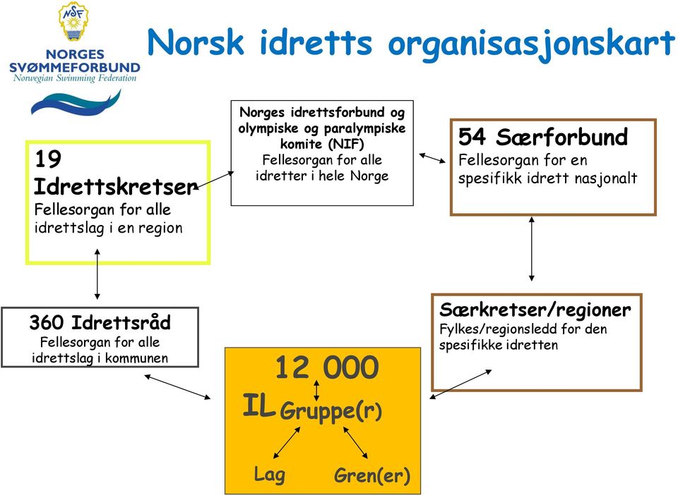 54 Særforbund Fellesorgan for en spesifikk idrett nasjonalt 360 Idrettsråd Fellesorgan for alle