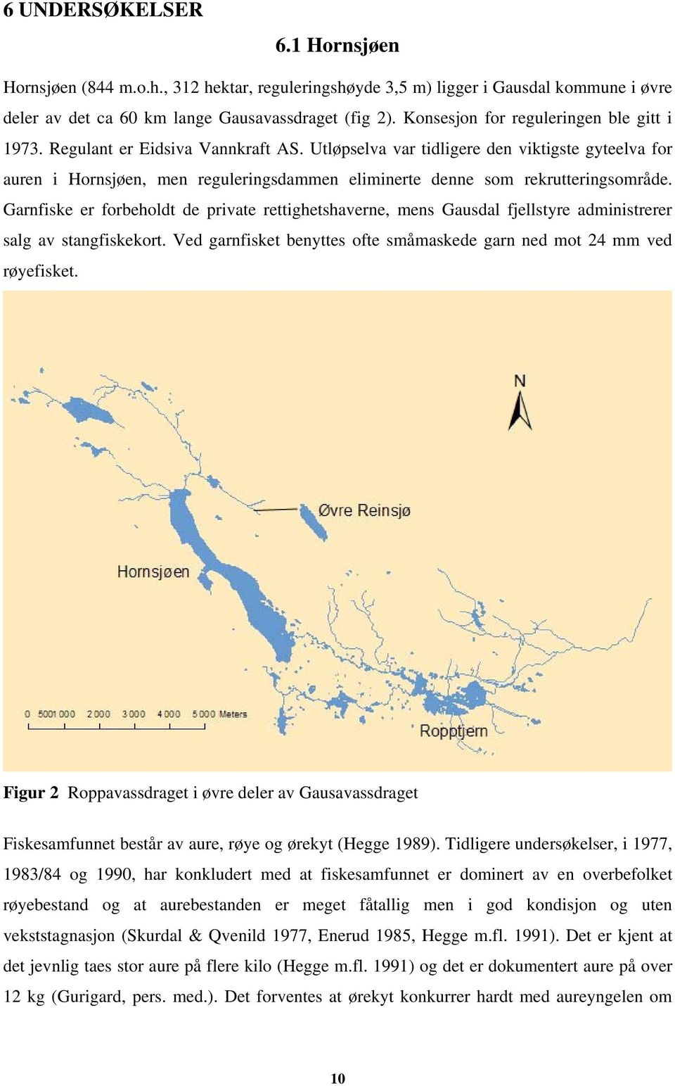 Utløpselva var tidligere den viktigste gyteelva for auren i Hornsjøen, men reguleringsdammen eliminerte denne som rekrutteringsområde.