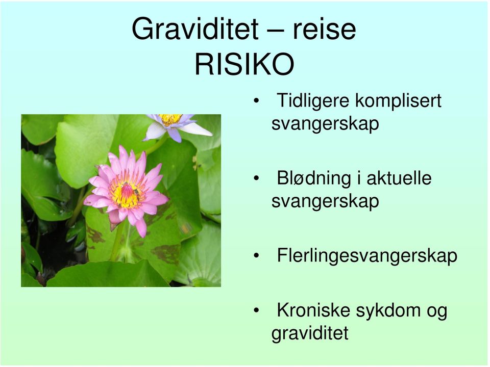 aktuelle svangerskap