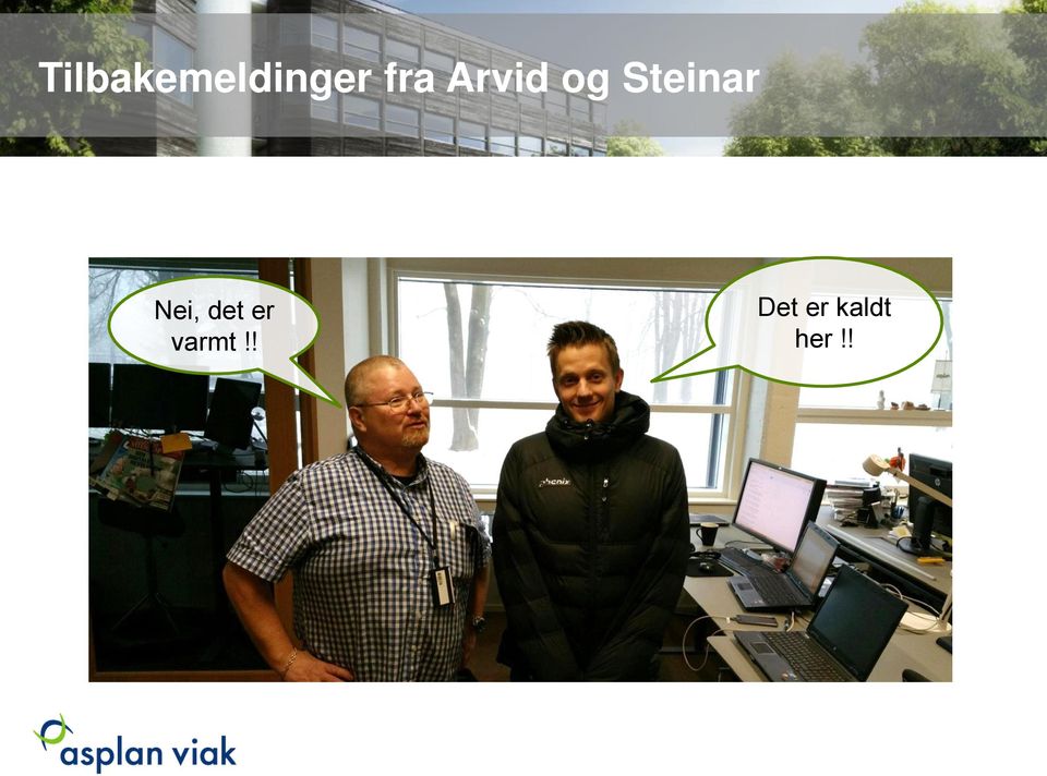 Steinar Nei, det