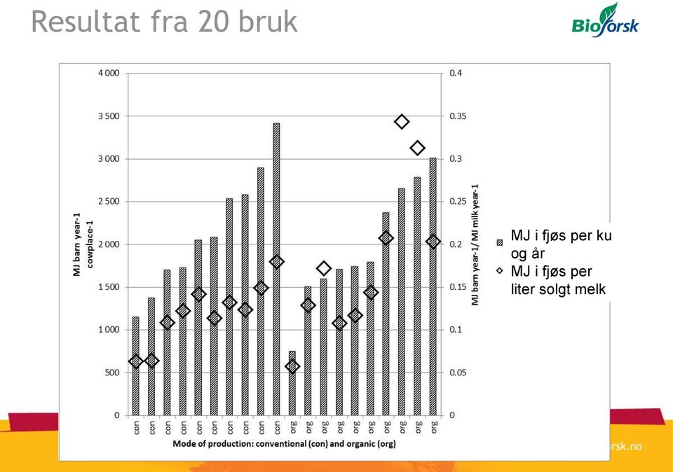 ku og år MJ i fjøs