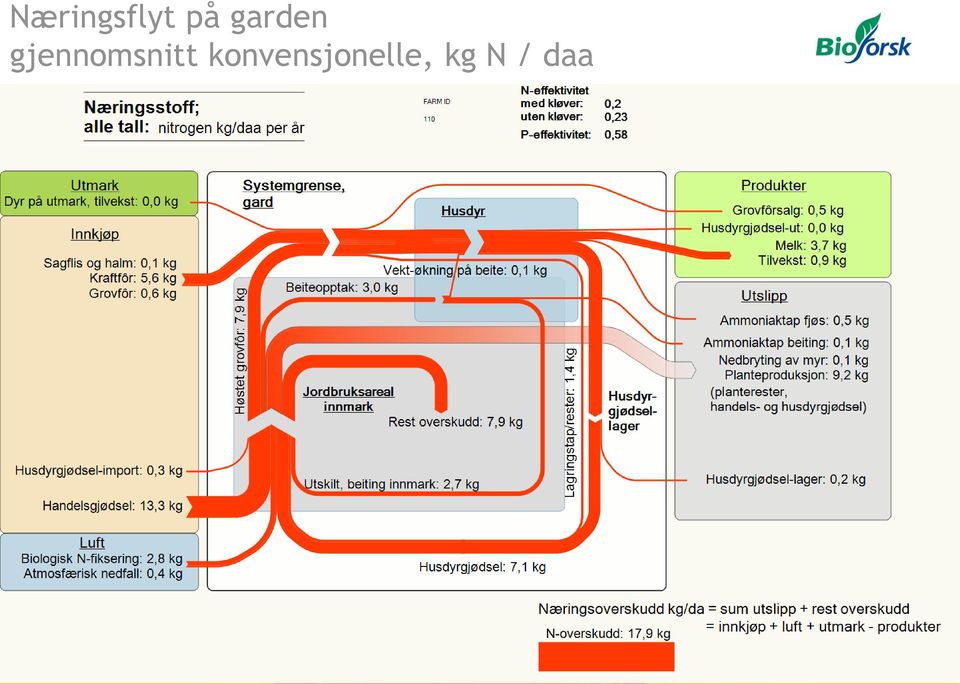 gjennomsnitt