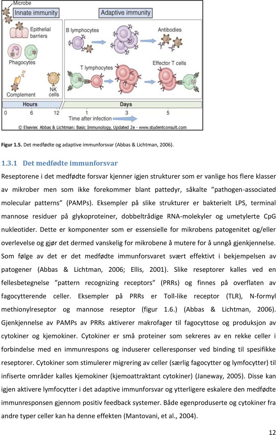 pathogen-associated molecular patterns (PAMPs). Eksempler på slike strukturer er bakterielt LPS, terminal mannose residuer på glykoproteiner, dobbeltrådige RNA-molekyler og umetylerte CpG nukleotider.