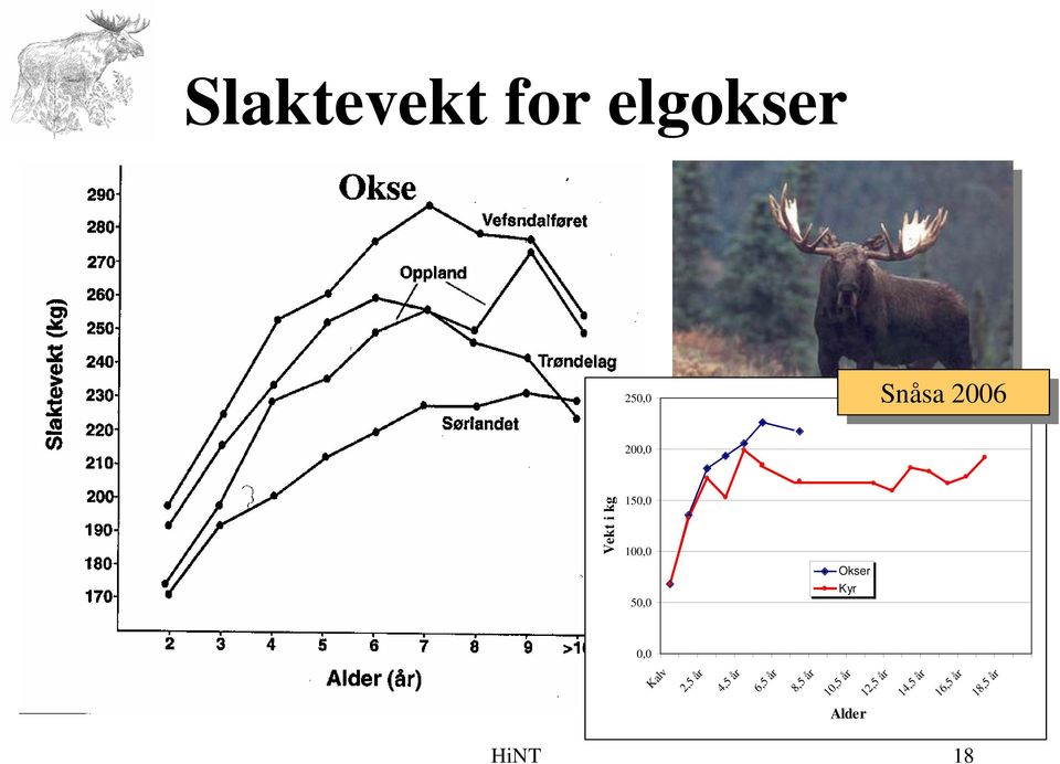 Alder 5,, 5,, Kalv,5 år 4,5 år 6,5 år 8,5 år,5 år,5 år 4,5 år