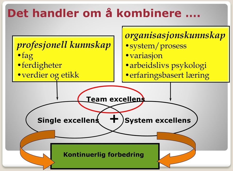 organisasjonskunnskap system/prosess variasjon arbeidslivs