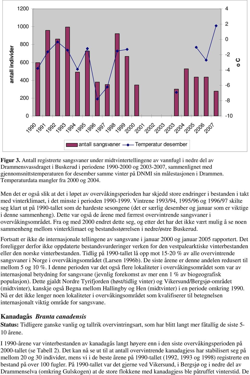 Antall registrerte sangsvaner under midtvintertellingene av vannfugl i nedre del av Drammensvassdraget i Buskerud i periodene 1990-2000 og 2003-2007, sammenlignet med gjennomsnittstemperaturen for