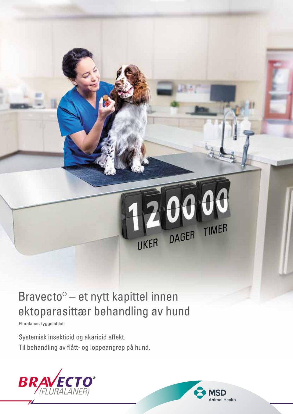 Bravecto et nytt kapittel innen ektoparasittær behandling av hund - PDF  Free Download