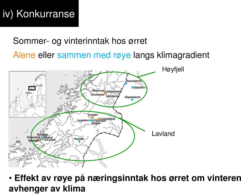 klimagradient Høyfjell Lavland Effekt av røye