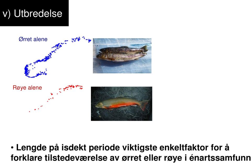 enkeltfaktor for å forklare