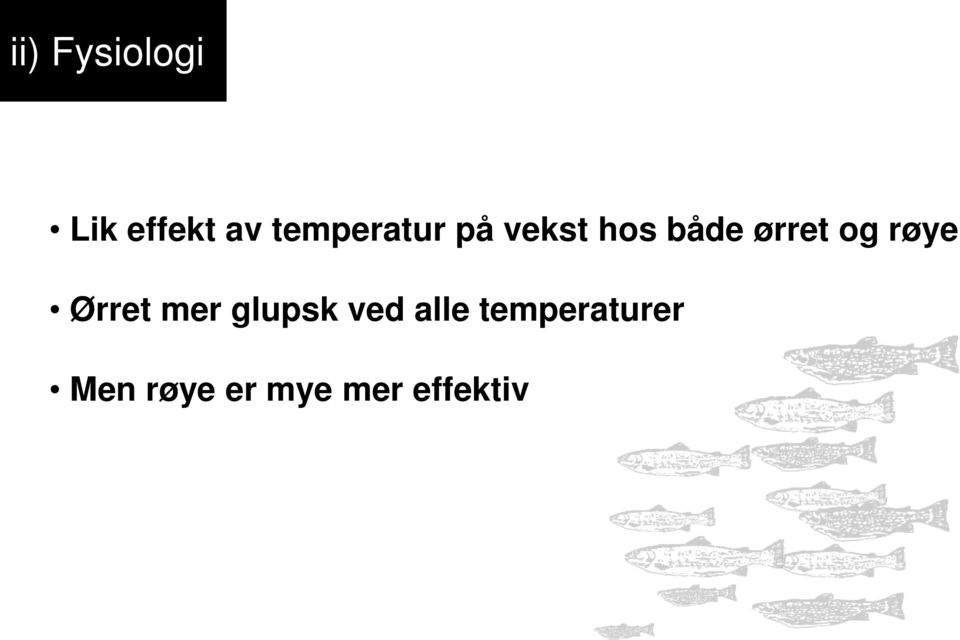 temperatur på vekst hos både ørret og røye