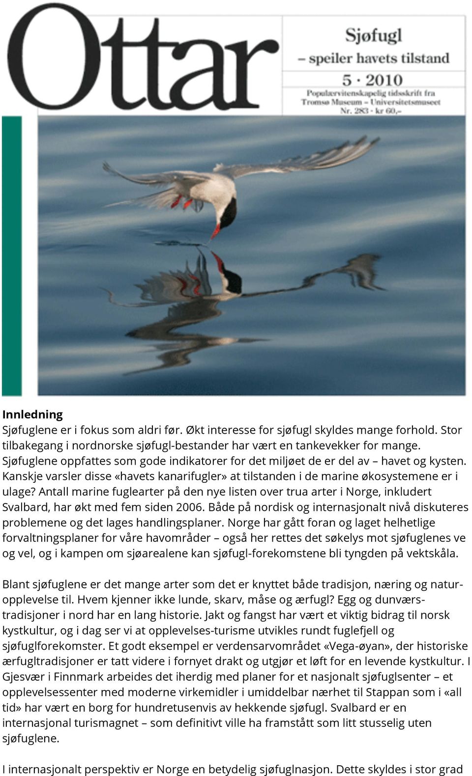 Antall marine fuglearter på den nye listen over trua arter i Norge, inkludert Svalbard, har økt med fem siden 2006.