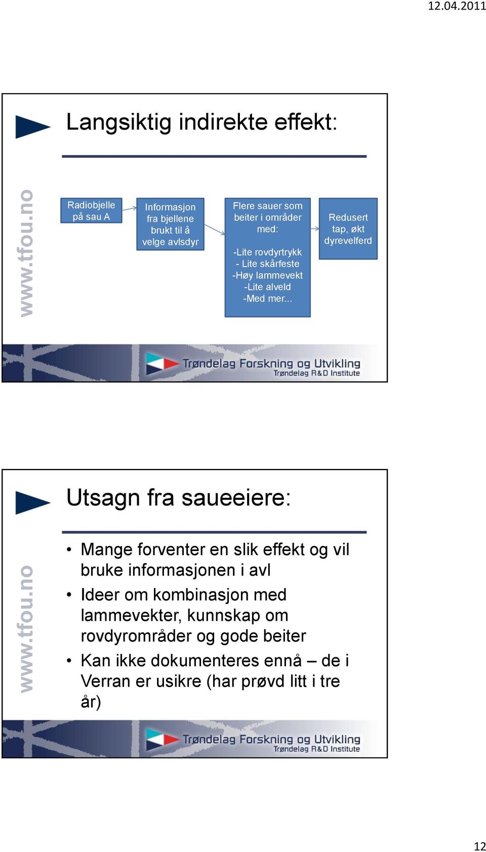 .. Redusert tap, økt dyrevelferd Utsagn fra saueeiere: Mange forventer en slik effekt og vil bruke informasjonen i avl