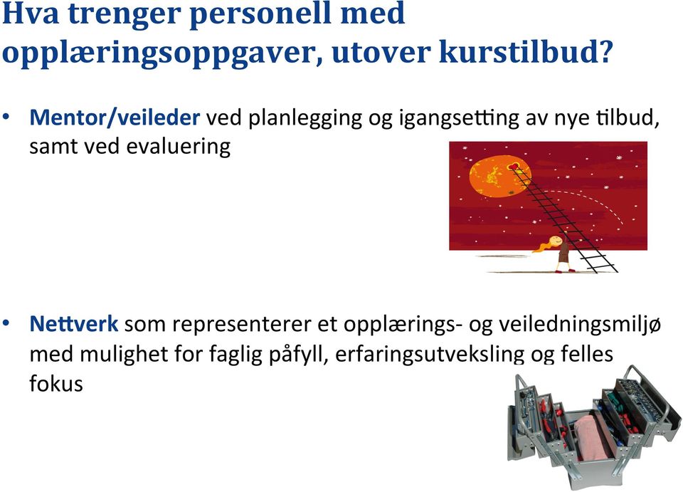 evaluering Ne;verk som representerer et opplærings- og